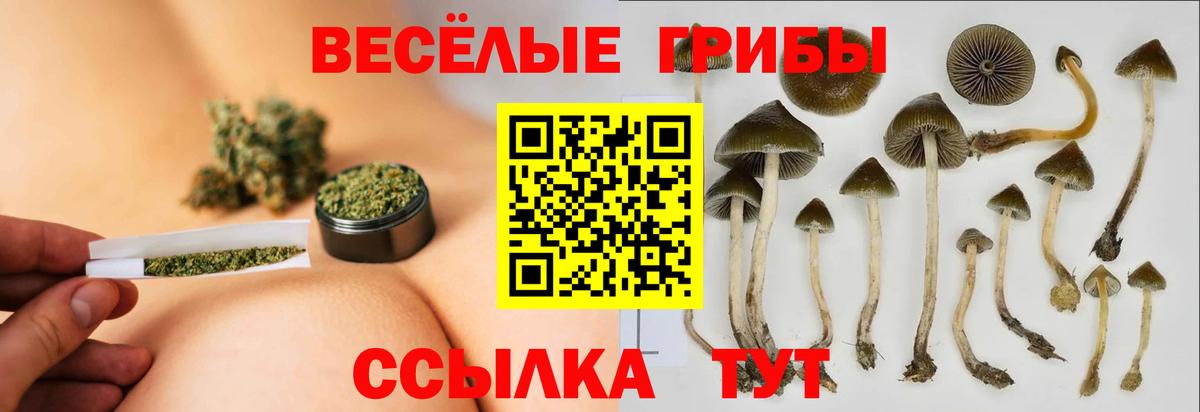 Серпухов  Галлюциногенные грибы прущие грибы  Вход с VPN 